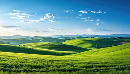 Obraz premium Lush Green Rolling Hills Under Bright Blue Sky at Sunset