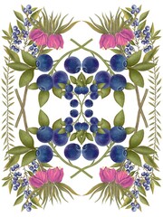 Hand drawn illustration on white background. Botanical arrangement of blueberries and pink flowers on white background