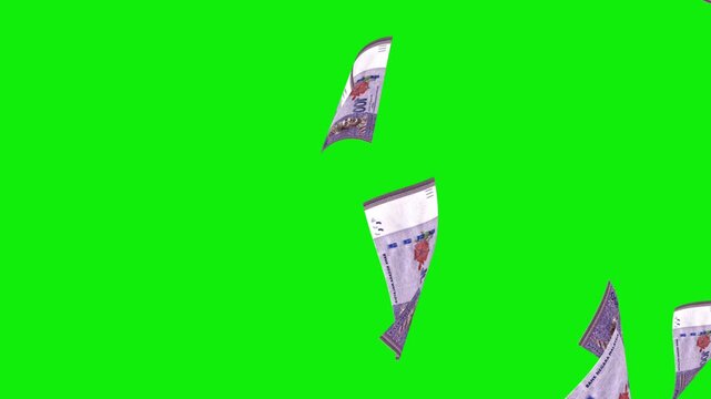 100 Malaysian Ringgit Money Rain Falling Green Screen Animation | Cash Rain Effect
