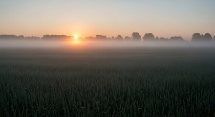 sunrise over the river