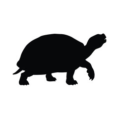 Silhouette of a turtle walking isolated on white background, showcasing the slow and steady nature of this reptile