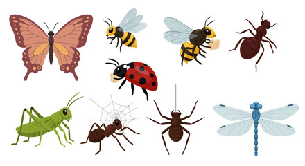 Illustration of eight different insects and arachnids on a white background