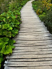 Wooden Boardwalk, Plitvice Lakes, Croatia