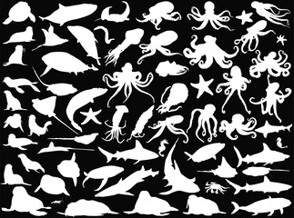 marine animals and fishes outlines large set isolated on black