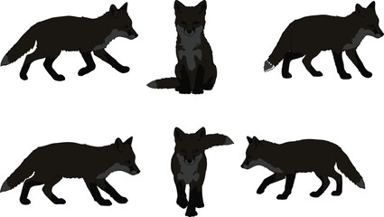 Fox silhouette set, walking fox, sitting fox, standing fox, hunting fox, black fox vector design, wild animal illustration artwork collection