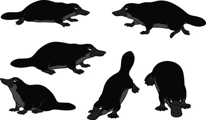 Platypus illustration vector set, unique aquatic mammal drawing, wildlife artwork, Australian animal design, platypus clipart, nature silhouette, swimming walking sitting poses