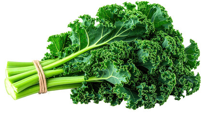 Fresh green kale leaves and stems tied together with natural twine, showing vibrant color and intricate textures against a stark black background, showcasing the healthy raw produce.
