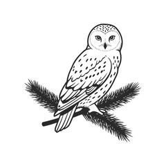 Fototapeta premium Vintage black and white illustration of owl on branch in minimalist style