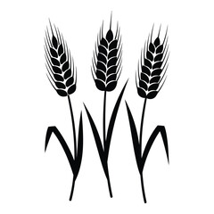 Three detailed black wheat stalks with leaves silhouette icon for agriculture food and harvest concepts silhouette