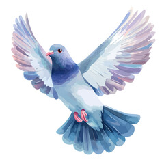 Dove, watercolor illustration vector, isolated on a white background.