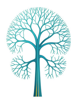 cortical interneuron colored icon