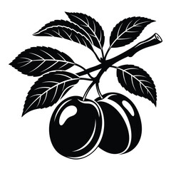 Black and white line art of a plum branch with two ripe plums and detailed leaves silhouette