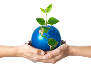 Nurturing Our World – Hands Cradling Globe with Fresh Green Growth for Environmental Awareness PNG 