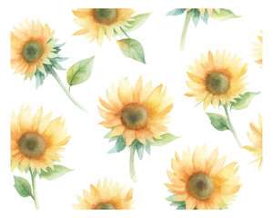 Watercolor Seamless Pattern with Sunflowers isolated on white background