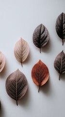 The leaves of various colors