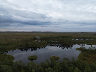 Bog Tower Reflections