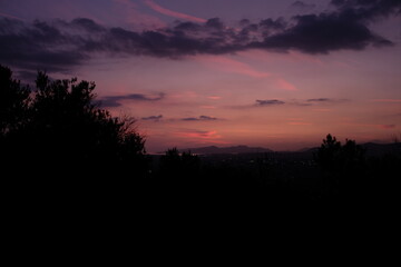 Purple and Pink Sky Over Trees