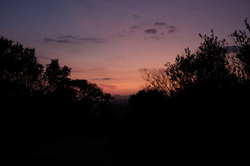 Purple and Pink Sky Over Trees
