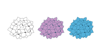 A set of white, pink, and blue hydrangea flowers. Sketch on a white background. Coloring page.