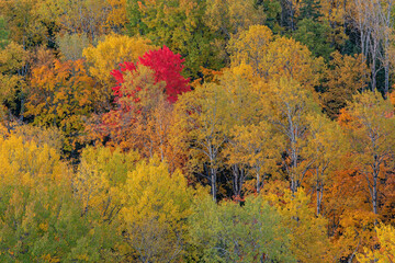 Autumn landscape of forest from the Brockway Mountain Drive, Michigan's Upper Peninsula, USA