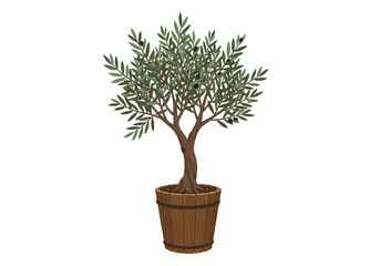 Olive Tree in Wooden Pot Detailed Illustration.
