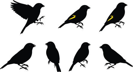 Bird silhouette vector illustration featuring multiple perched and flying songbirds with distinctive yellow wing markings, perfect for wildlife and design.