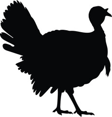 Silhouette turkey bird thanksgiving autumn nature farm animal vector