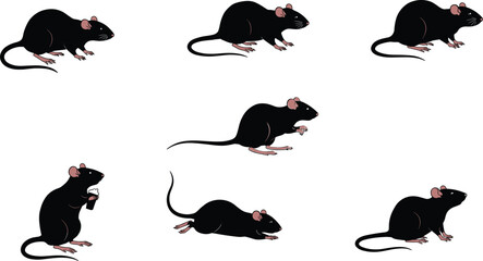 Set of black rat illustrations in various poses including standing, walking, sitting, and lying – vector art for animal themes