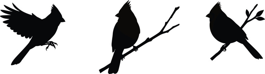 Cardinal bird silhouette vector illustration set with perched, flying, and branch poses for wildlife, decorative art, and nature design.