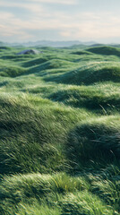 A vast, sprawling green lawn that extends to the horizon--lush and dense with grass blades of varying heights