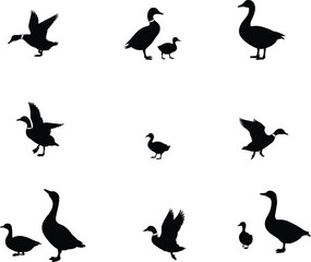 Duck and goose silhouettes, flying and standing birds, wildlife illustration design, bird posture collection, nature animal icons, ornithology study artwork