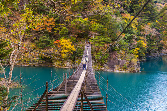 Autumn scenery of the Dream Suspension Bridge in Sumata Gorge, Shizuoka Prefecture