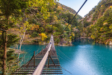 Obraz premium Autumn scenery of the Dream Suspension Bridge in Sumata Gorge, Shizuoka Prefecture