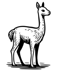 ilustracion de una vicu&ntilde;a peruana