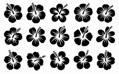 Obraz premium black and white flowers