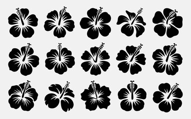 Obraz premium black and white flowers
