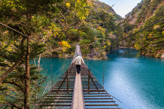 Autumn scenery of the Dream Suspension Bridge in Sumata Gorge, Shizuoka Prefecture
