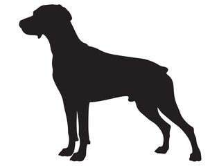 WEIMARANER DOG SILHOUETTE
