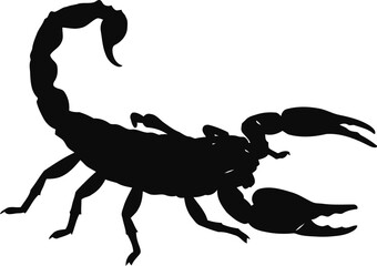 Scorpion silhouette vector art isolated on vector
