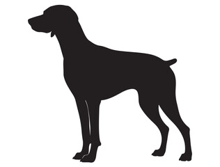 WEIMARANER DOG SILHOUETTE