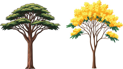 Acacia tree illustration, yellow flowering tree vector, tropical forest plants, natural landscape artwork, botanical design element, outdoor decorative nature background