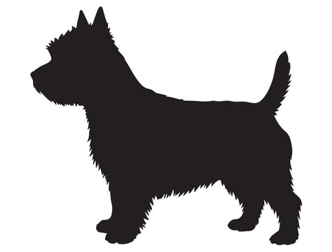 WEST HIGHLAND DOG SILHOUETTE