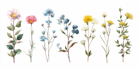 Vibrant Watercolor Wildflower Collection with Bright Multicolor Blossoms for Creative Floral Design