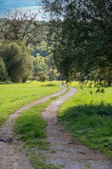 ​A winding dirt path leads through a bright green meadow.