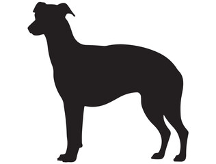 WHIPPET DOG SILHOUETTE