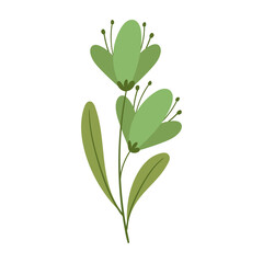 Green two blooming flowers on white background illustration, simple elegant design