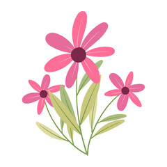 Delicate Pink Floral Arrangement with Green Stems and Leaves on a White Background