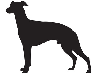 WHIPPET DOG SILHOUETTE