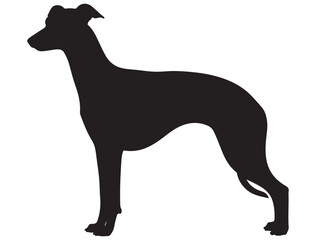 WHIPPET DOG SILHOUETTE