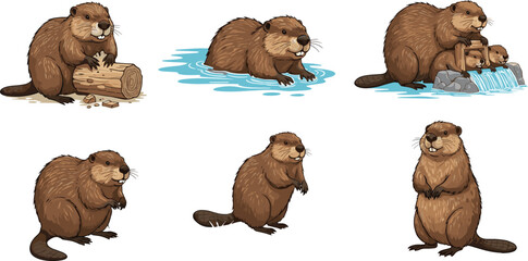 Cartoon beaver vector set with cute poses chewing wood, swimming, building dam and standing, funny woodland animal illustration for kids © Musa's Word
